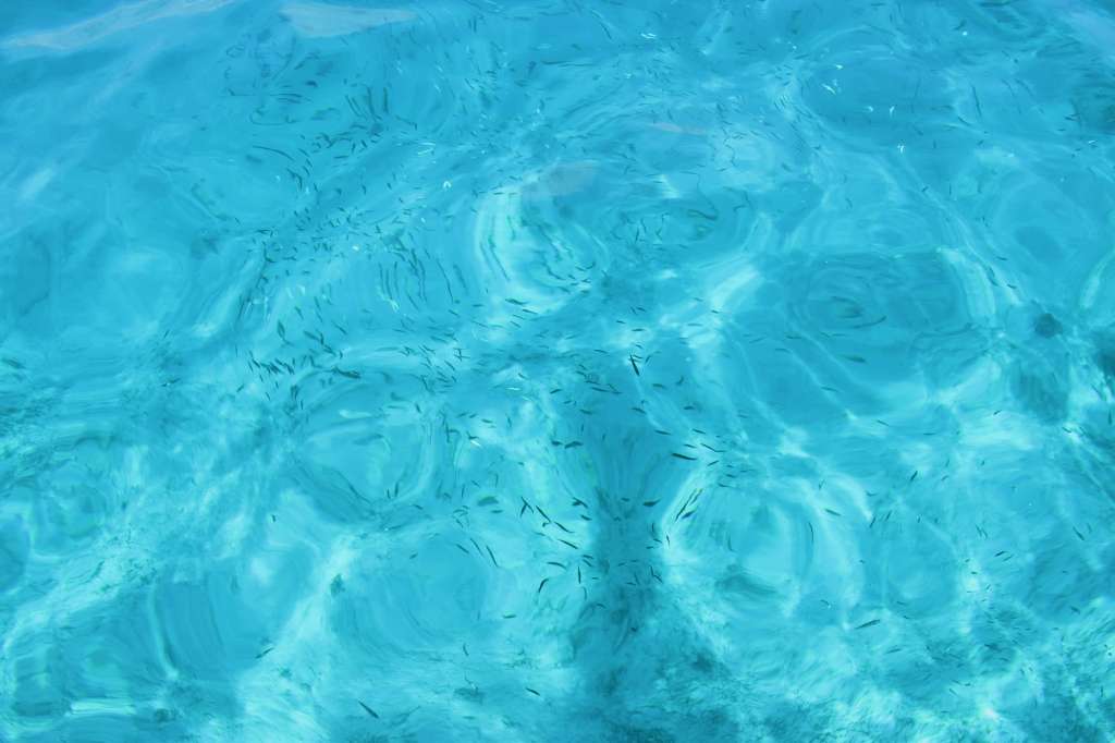 Northern Palawan Trip